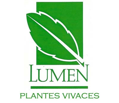 Lumen