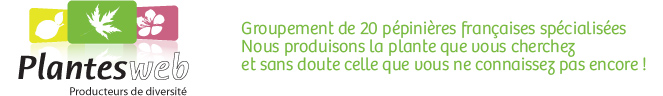 Groupement de 20 pépinières françaises spécialiséesNous produisons la plante que vous cherchez et sans doute celle que vous ne connaissez pas encore !