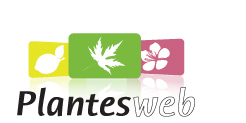 Logo Plantes Web